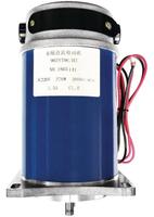 Buffalo AJ244 Motor