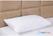 GT837 Mitre Comfort Quiltop Matrasbeschermer Enkel 2