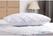 GT837 Mitre Comfort Quiltop Matrasbeschermer Enkel 4