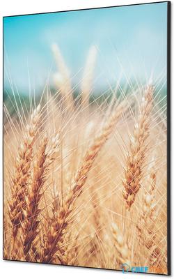 Syna Wanddecoratie Textiel SET A1 Graanveld - TFR22WA1-SET-I814