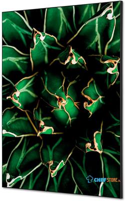 Syna Wanddecoratie Textiel SET A1 Cactus Groen - TFR22WA1-SET-I820