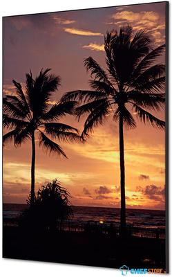 Syna Wanddecoratie Textiel SET A1 Palmbomen Zonsondergang - TFR22WA1-SET-I826