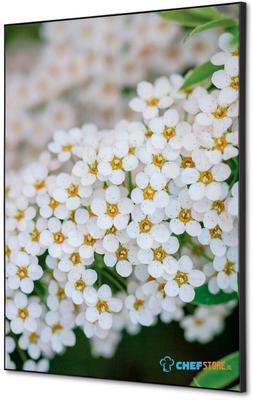 Syna Wanddecoratie Textiel SET A2 Witte Bloem Spirea - TFR22WA2-SET-I3