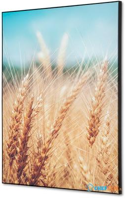 Syna Wanddecoratie Textiel SET A2 Graanveld - TFR22WA2-SET-I814