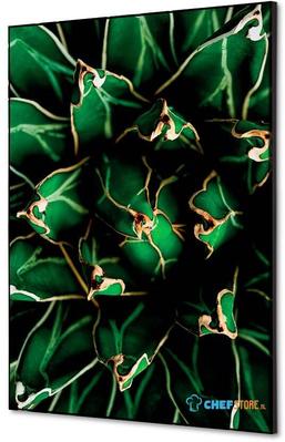 Syna Wanddecoratie Textiel SET A2 Cactus Groen - TFR22WA2-SET-I820