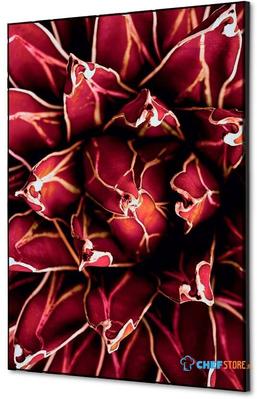 Syna Wanddecoratie Textiel SET A2 Cactus Rood - TFR22WA2-SET-I821