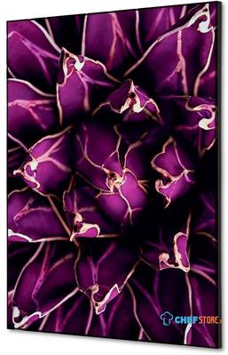 Syna Wanddecoratie Textiel SET A2 Cactus Paars - TFR22WA2-SET-I822