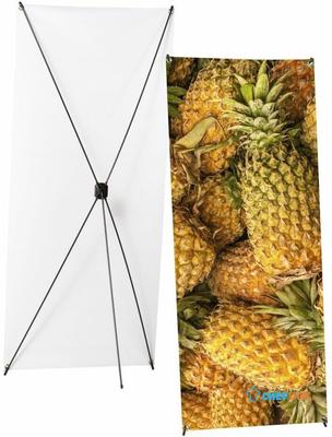 Syna X-Banner Budget 80 X 180 cm - XBB80-180