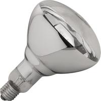 Warmtelamp 250W | 710206