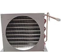 Polar AS391 Condensor