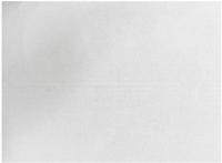 Fiesta Compostable HY790 Fiesta Composteerbare Burger Wikkels Wit 250x350mm (200 stuks)