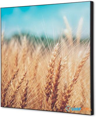 Syna Wanddecoratie Textiel SET 40 X 40 Graanveld - TFR22W400-SET-I814