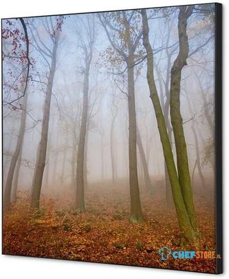 Syna Wanddecoratie Textiel SET 40 X 40 Herfst Mist - TFR22W400-SET-I823