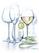 Arcoroc Grands Cepages Wittewijnglazen 47cl, Arcoroc DH853 2