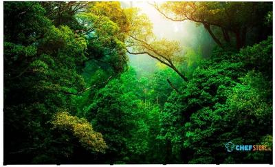 Syna Pop-Up Magnetic Straight met Soft Trolley 5 X 3 - PUM53S-ST