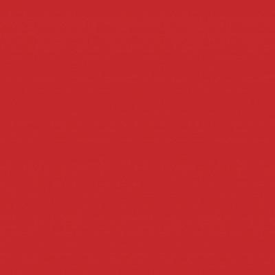 Frontal Decoration Panel For Refrigerated/warm Preparation Counters RED1064 W=460 mm 1