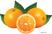 Diamond Automatische citrus pers - self bediening - op meubel | ASD/M-SS 2