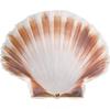 Oester Schelp Ø12Cm | 814001