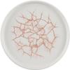 Churchill Studio Prints Kintsugi Coral Borden 220mm (Pak van 6) - CX688