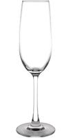 Olympia Modale champagneglazen 21,5cl | GF728