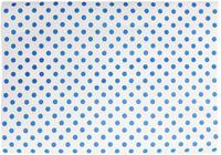 Fiesta Compostable HY792 Fiesta Composteerbare Burgerwikkels Blauw Stip 250x350mm (200 stuks)