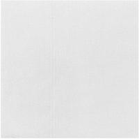 Fiesta Compostable HY796 Fiesta Composteerbare Pizza Box Inlegvellen 12" (stuks 200)