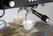Bartscher Koffiemachine Coffeeline B10 - 190230 12
