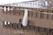 Bartscher Afdekhoes TGS100 15 - 300144 5
