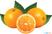 Diamond Automatische citrus pers - gekoeld - op meubel | ASD/M-FR 2