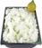 Verticale ijsturbine | Watercondensator | 5 liter/u | TGB/5 | Diamond 2
