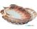 Oester Schelp Ø12Cm | 814001 3