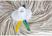 Bindgaren mop | Scott Young | CD801 3