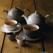 Churchill Stonecast Cappuccinoschotels Grijs 158mm (12 Stuks) - Churchill DK567 2
