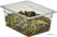 Cambro polycarbonaat bak GN1/2 150mm | DM745 4
