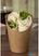 Colpac kraft wrap cups (1000 stuks) | FA377 3