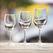 Olympia Rosario Wijnglazen 250ml (6 Stuks), Olympia FB574 7