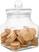 Olympia Square Biscotti Pot, Olympia FD960 4