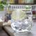 Olympia Atlanta Beker 300 Ml (doos 12) - FU108 2