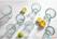 Olympia Orleans Bekers van Gerecycleerd Glas 220 Ml 6 Stuks - FU593 7