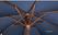 Bolero ronde donkerblauwe parasol 2,5 meter | GG496 3