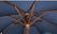 Bolero vierkante donkerblauwe parasol 2,5 meter | GH991 3