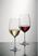 Schott Zwiesel Ivento Rodewijnglazen 480ml (6 Stuks) - Schott Zwiesel GL135 5