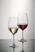 Schott Zwiesel Ivento Witte Wijnglazen 340ml (6 Stuks) - Schott Zwiesel GL136 6