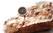 Hendi Steak thermometer | 4 op blisterkaart | 271339 2