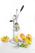 Hendi Citruspers handmatig hevelmodel | 695906 4