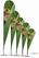 Syna Beach Flag Alu Drop 345 cm Totale Hoogte - BFAD345 6