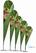 Syna Beach Flag Alu Drop 345 cm Totale Hoogte - BFAD345 6