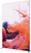 Syna FFW150X230 FlexFrame Wand Set 150 x 230 cm Zilver (incl. Extension Set 30 cm)