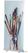 Syna Roll-Banner Budget 80 X 200 cm 2 Voeten - RBB080 4