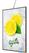 Syna LED Slide in Frame Slim A2 - SFSA2LED